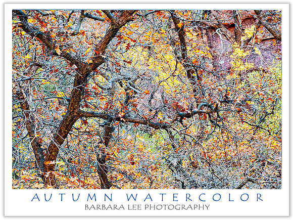 Zion - Autumn Watercolor