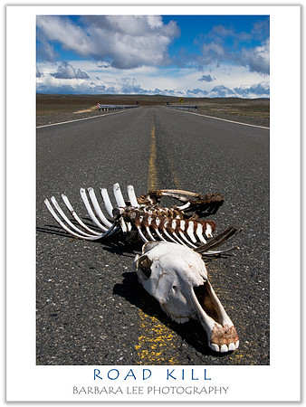 Road Kill