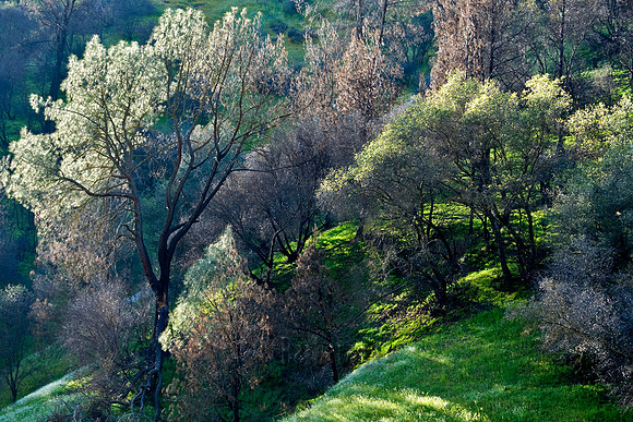 Dusk Comes to the Canyon