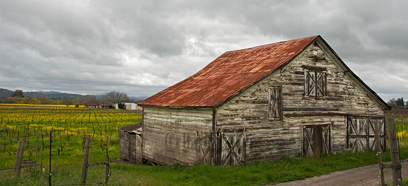 Old Barn on Westside Road, Russian River