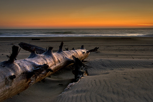 Driftlog - Lincoln City, Oregon - August, 2009