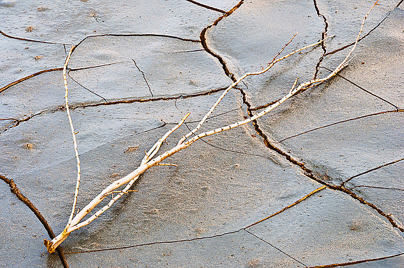 Early Morning Light After the Rains - Death Valley National Park