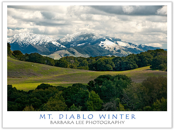 Mt. Diablo Winter