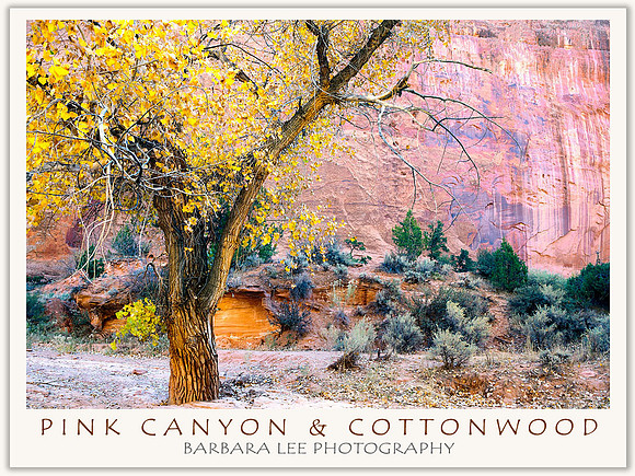 Pink Canyon and Cottonwood