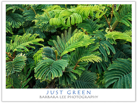 Just Green