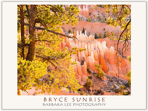 Morning Illumination, Bryce National Park