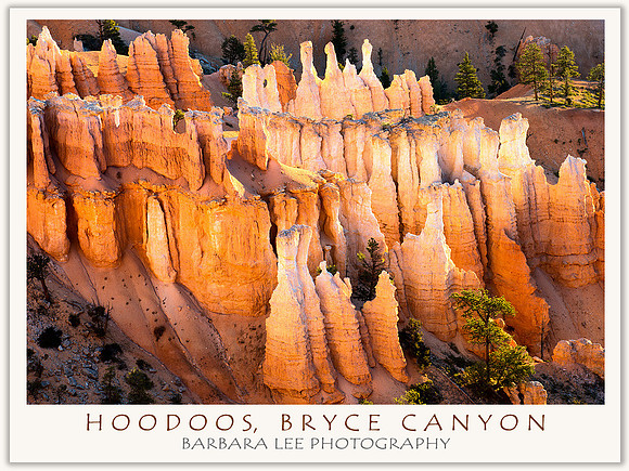 Hoodoos, Bryce Canyon