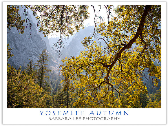 Yosemite Autumn