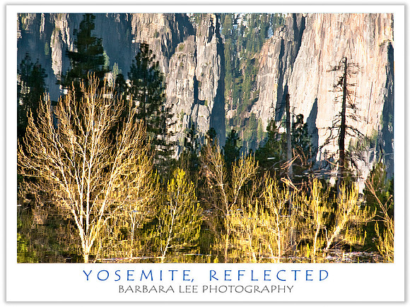 Reflections - Yosemite National Park