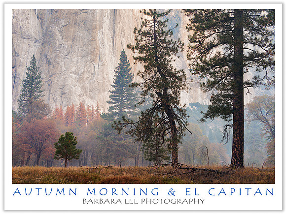 Autumn Morning and El Capitan