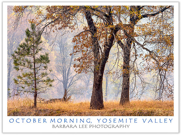 October Morning, Yosemite Valley