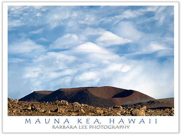 Mauna Kea Landscape