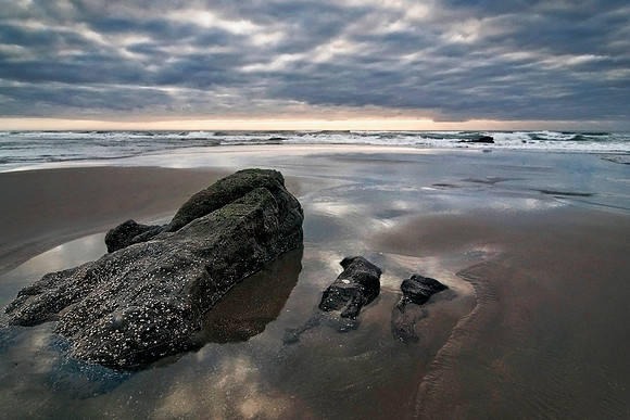 Salmon Creek Beach - Bodega Bay, CA - November, 2009