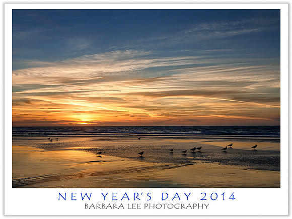 New Year's Day, 2014