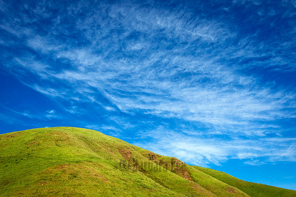 Springtime Hillside
