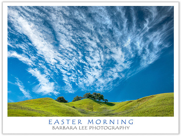 Easter Morning