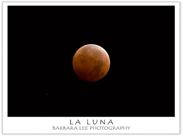 Blood Moon