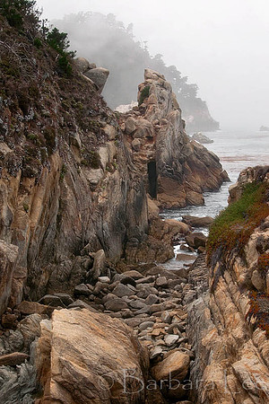 Point Lobos