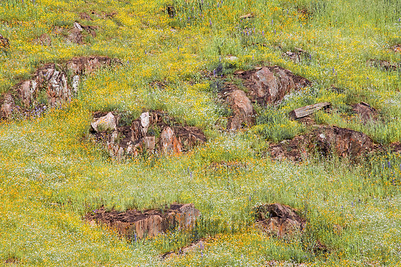 Yellow and Rocks