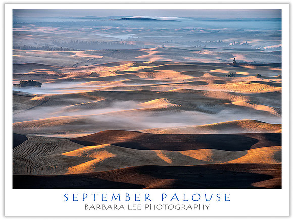 September Palouse