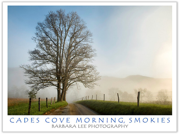 Cades Cove Morning, Smokies