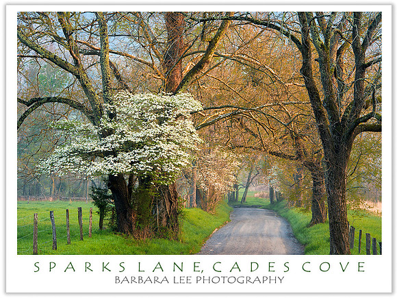 Sparks Lane, Cades Cove