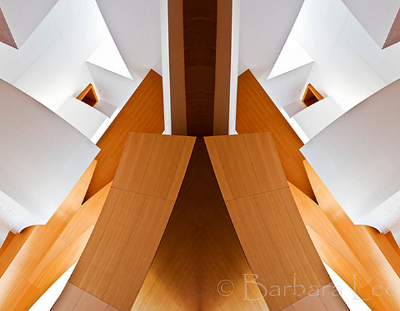 Disney Concert Hall Revisited