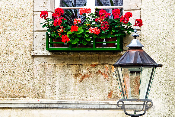 Lantern and Windowbox