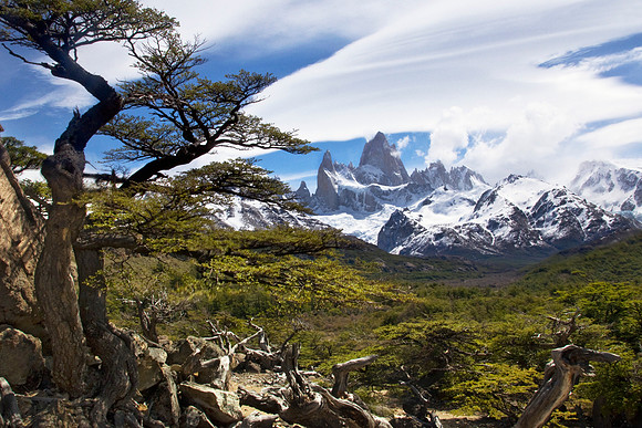 Fitz Roy