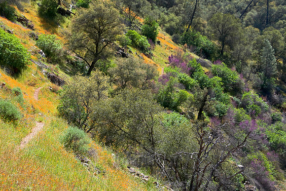 Hite Cove Trail Vista