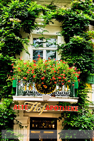 Mosel Window