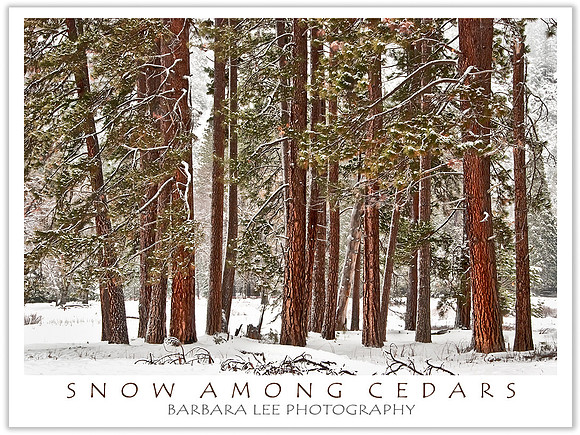 Cedar Grove, Yosemite Valley - January, 2008