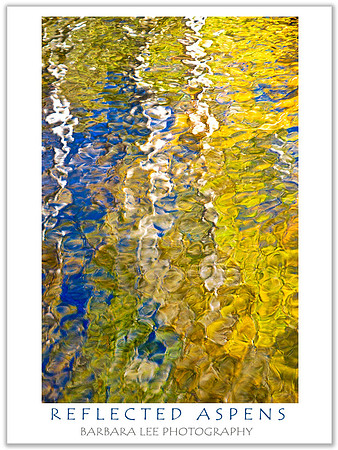 Reflected Aspens