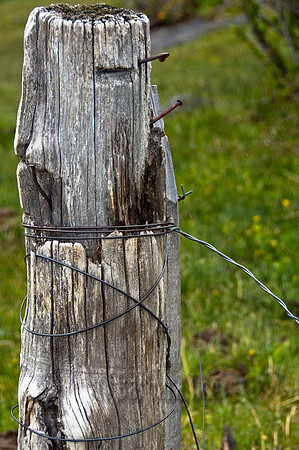 Fence Post