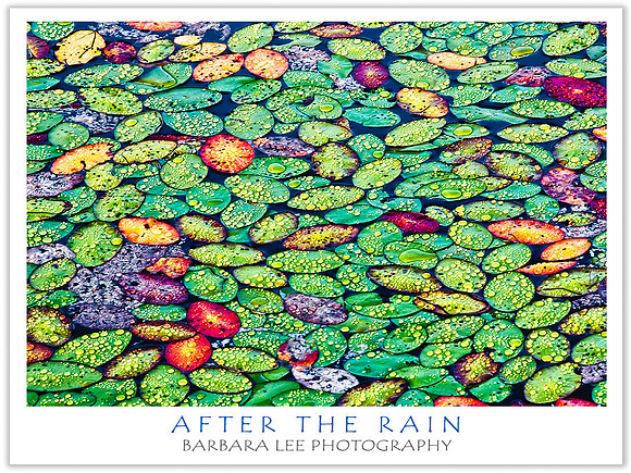 After the Rain
