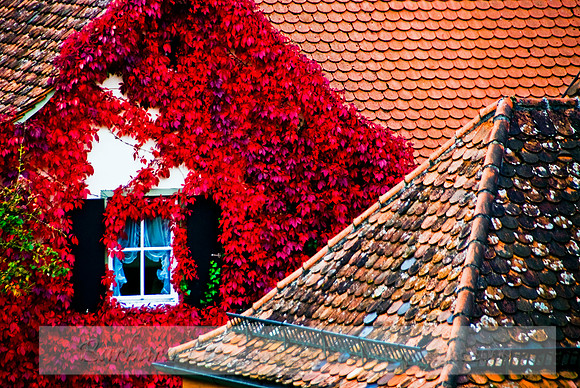 Red Window