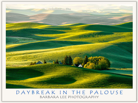 Daybreak in the Palouse