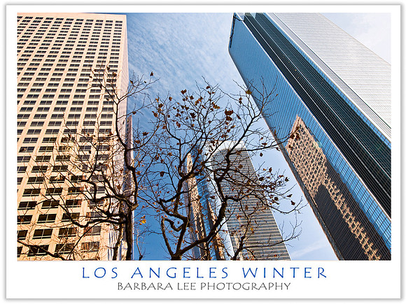 Los Angeles Winter
