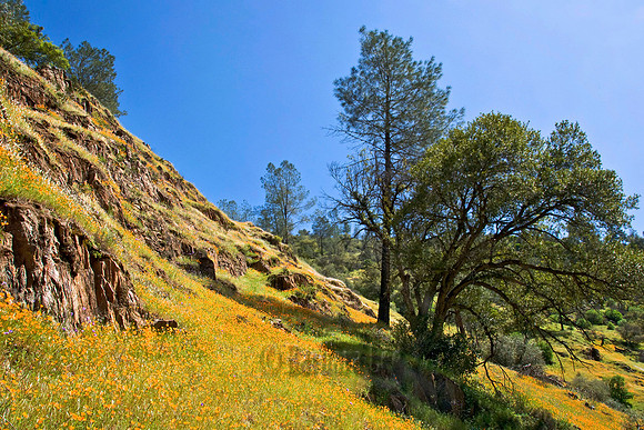Hite Cove Slope
