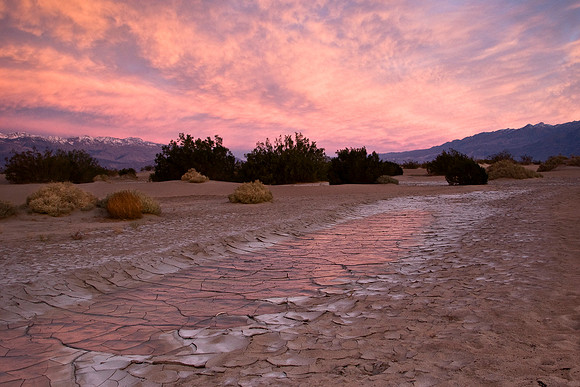 Death Valley Sunrise After the Rains - January, 2010