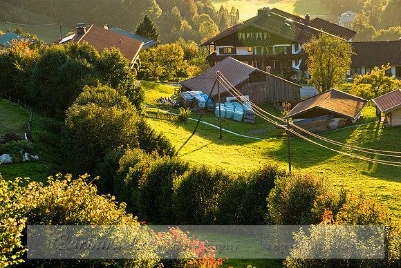 Sunlit Hillside